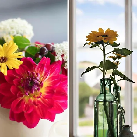 Casa vacanze G180-lemvig-bellisvej-80