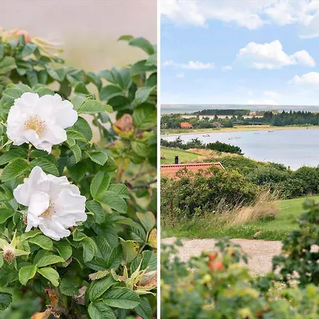 G180-lemvig-bellisvej-80 Lemvig