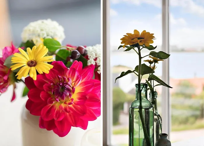 Сasa de vacaciones G180-lemvig-bellisvej-80